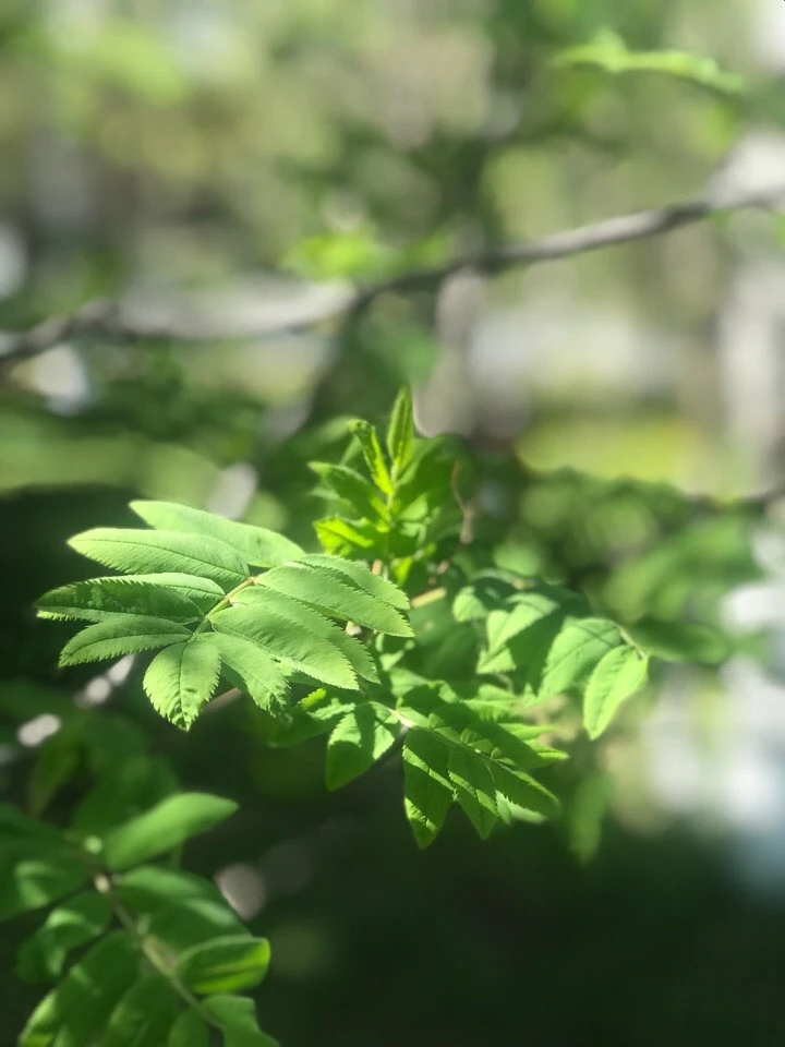 Май 🌿