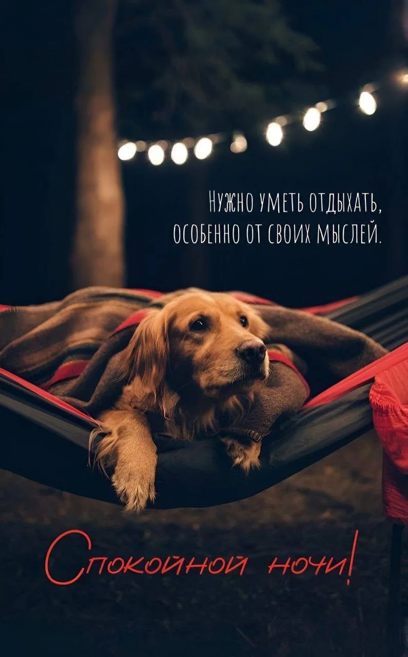 🌷 Открытки подписаться 👈