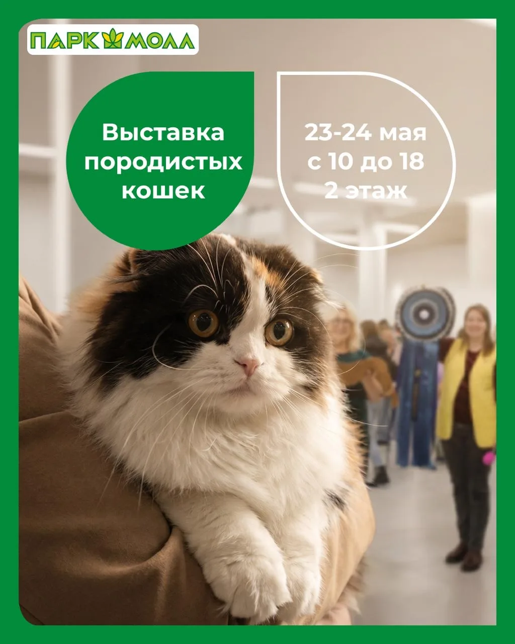 🐾 В ближайшие выходные в ТРК «Парк Молл» пройдёт выставка кошек «Котофей»!