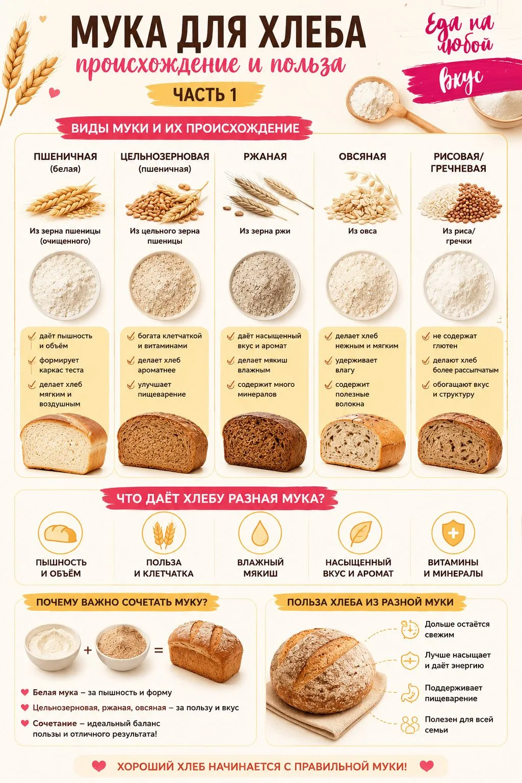 🥖 ШПАРГАЛКА ПО МУКЕ (ЧАСТЬ 1)