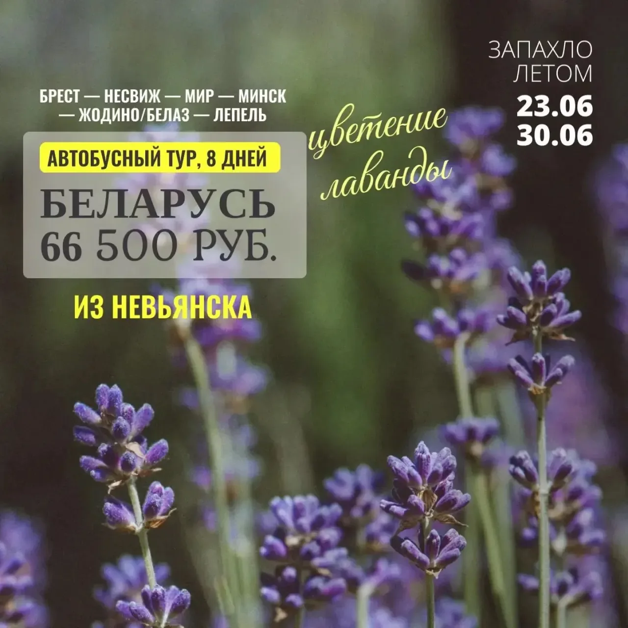 🇧🇾 Летняя Беларусь 
🇧🇾 Автобусный тур из городов Урала
🇧🇾 23 — 30 июня (8 дней с проездом)

По