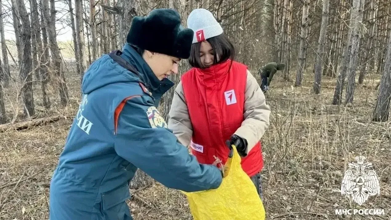 🌲 Лес — наше богатство.  🔥 Береги его от огня!  Эти слова знакомы каждому с детства.  Но, к сожалени