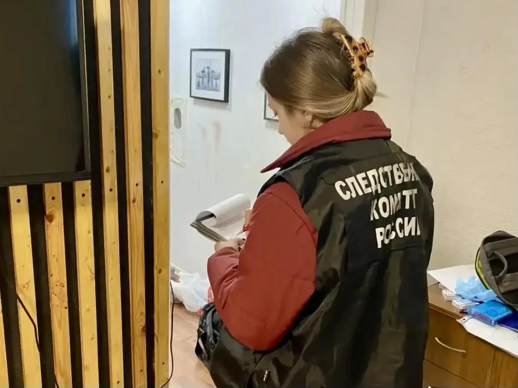 ⚖️ Подозреваемый заключен под стражу