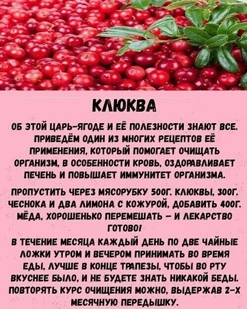 На заметку 📝

Моё здоровье! Подписаться