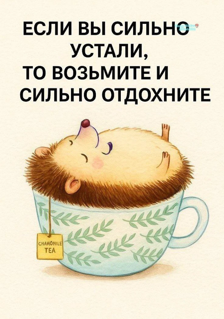 Понедельник — день тяжёлый! Дожираем дожоры и баиньки!😘