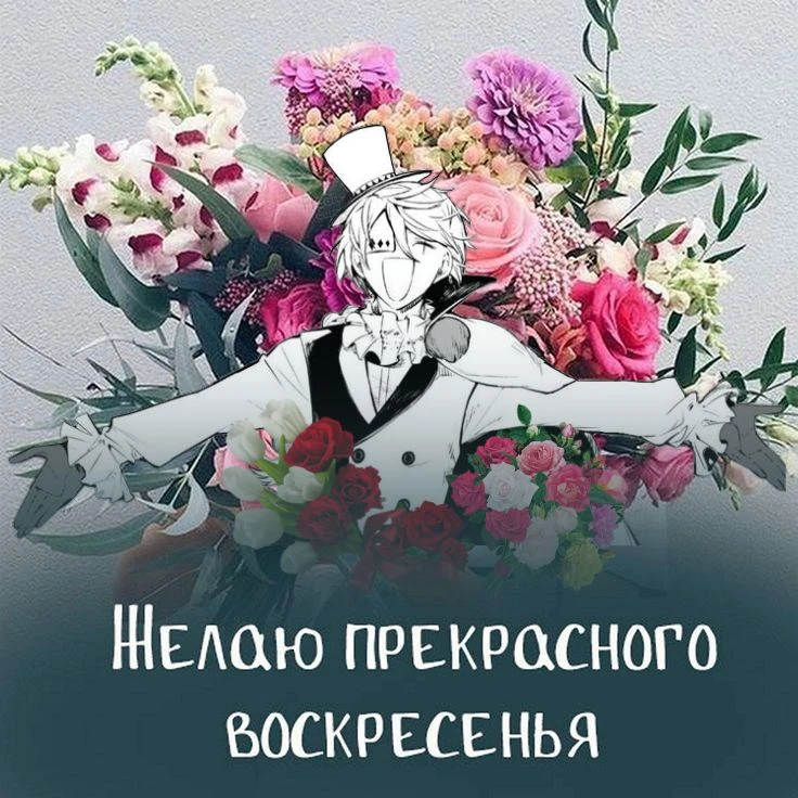 О литераторах 🖤