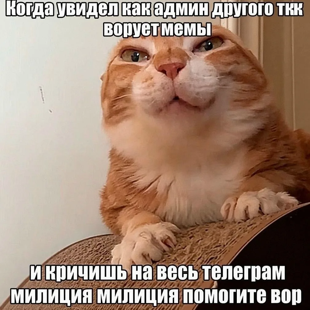 Вечерний чат 💭 Говорят, что какой по погоде был сегодня день, то так будет 1 апреля. З...