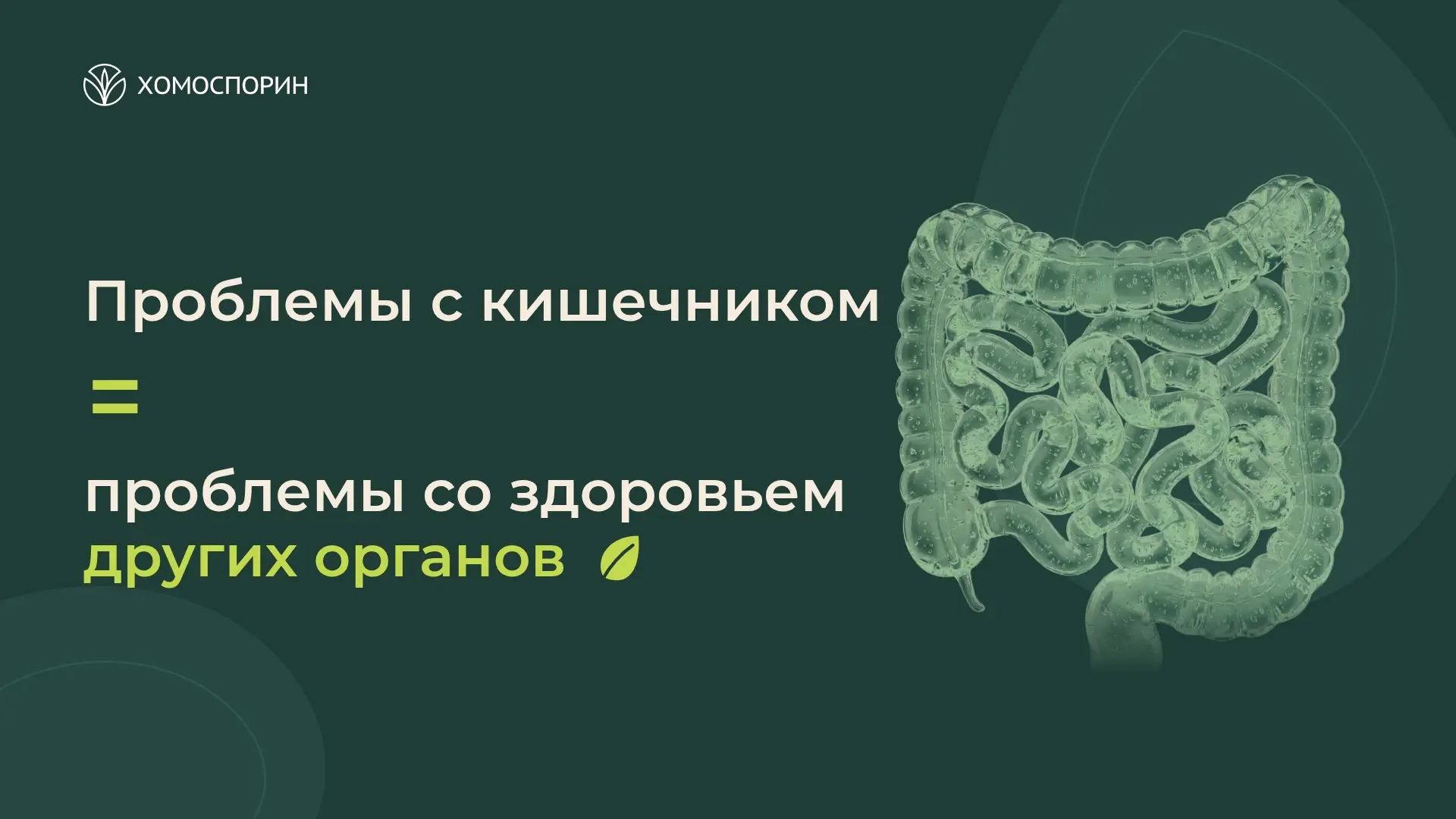 Проблемы с кишечником = проблемы со здоровьем других органов 🌿