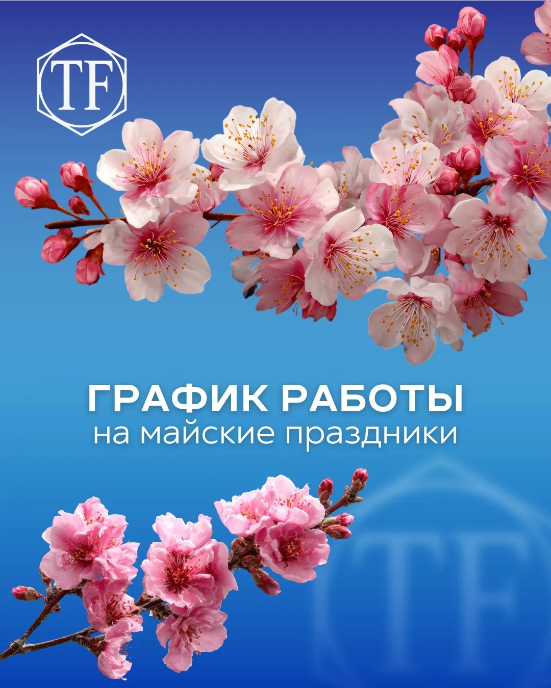 Уважаемые пациенты, обращаем ваше внимание на график работы филиалов «ТАФИ» на майских ...