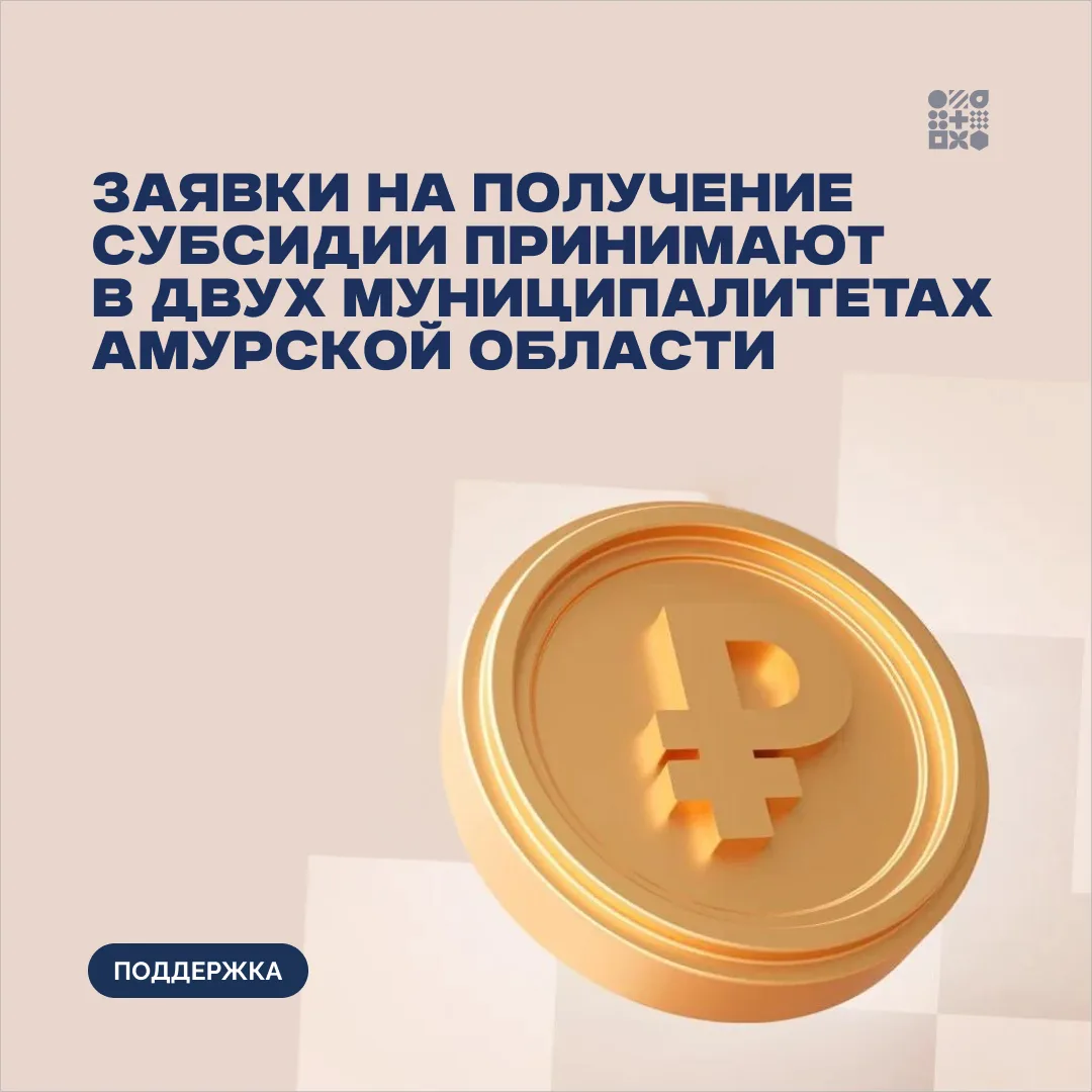 ⚡️Прямые субсидии для бизнеса можно получить в двух районах Приамурья