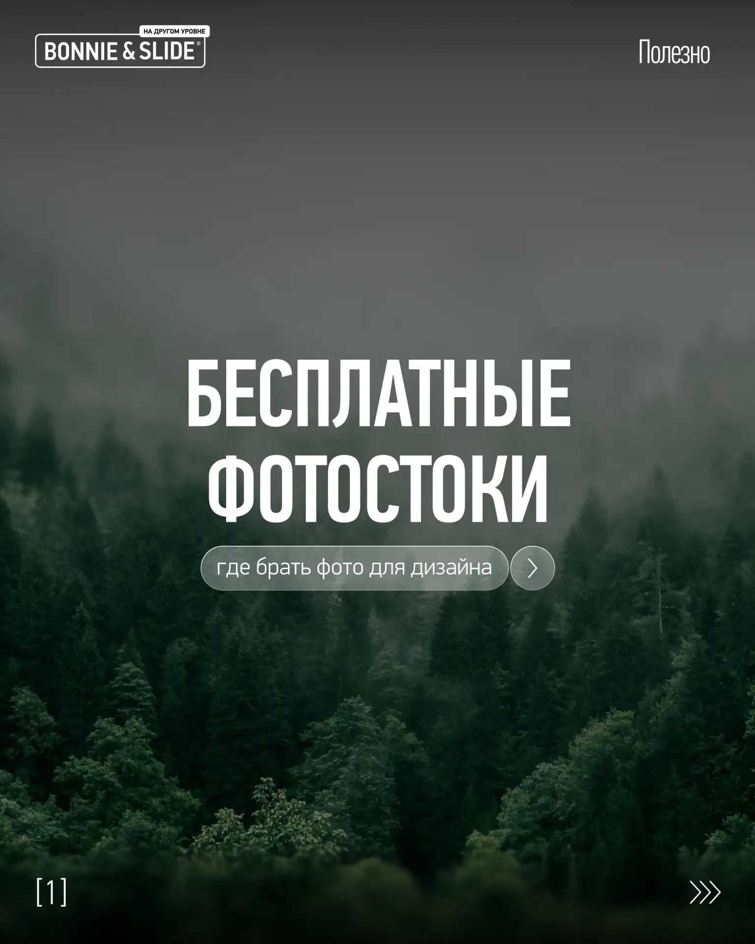 📷 Где дизайнеру бесплатно брать качественные фото