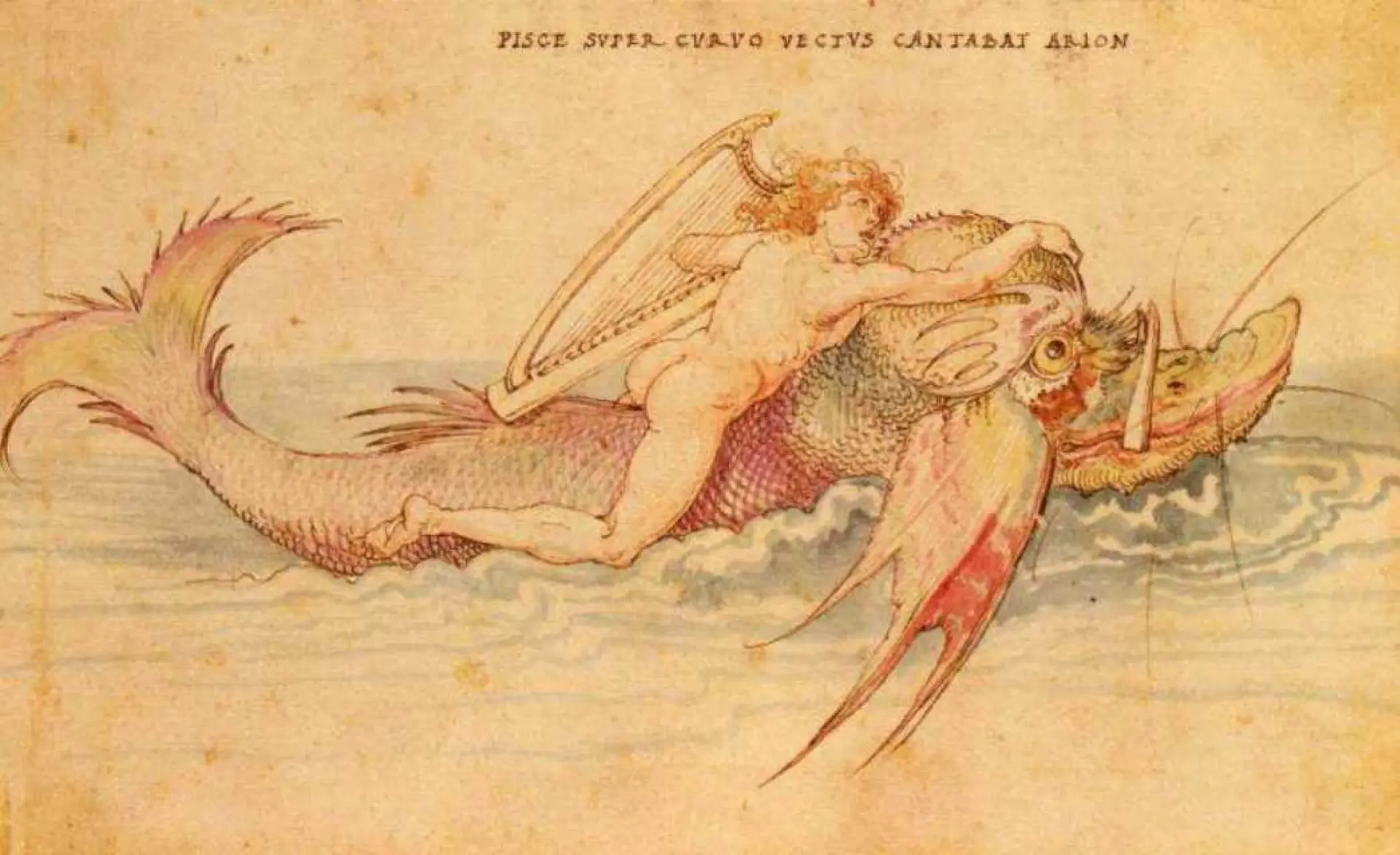 "Арион", 1514 г.