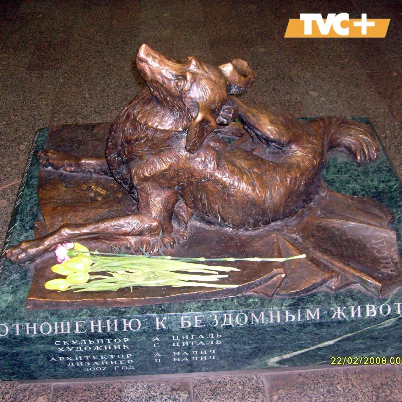 Памятник простому дворовому псу