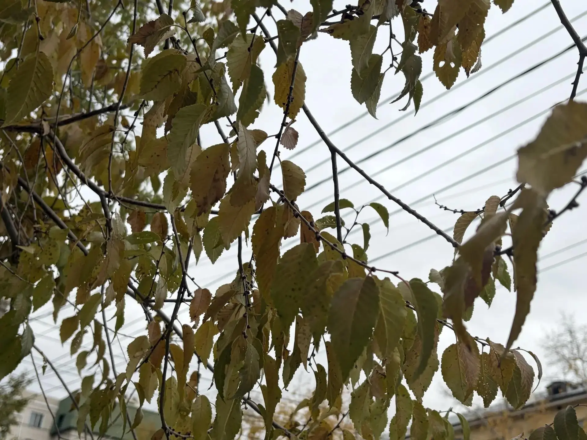 ⛅️ Доброе утро!