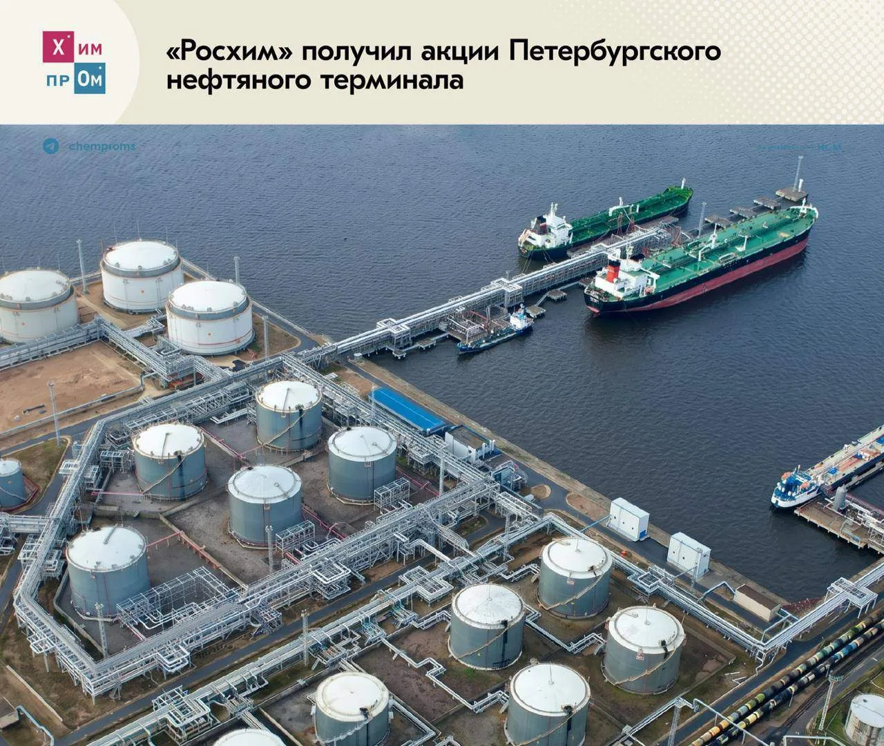 Петербургский нефтяной терминал (ПНТ) отошёл «Росхиму». Росимущество передало холдингу 55% акций ПНТ