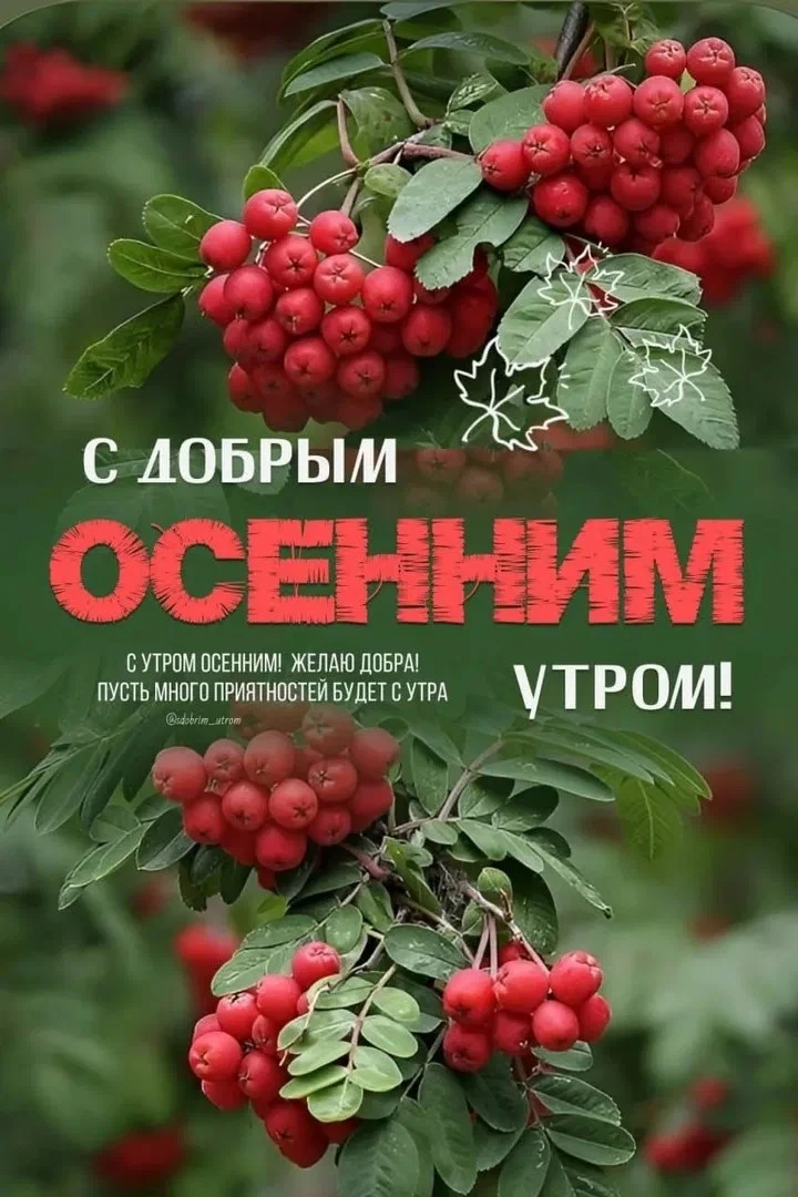 👉 ОТКРЫТКИ 💗 С добрым утром!