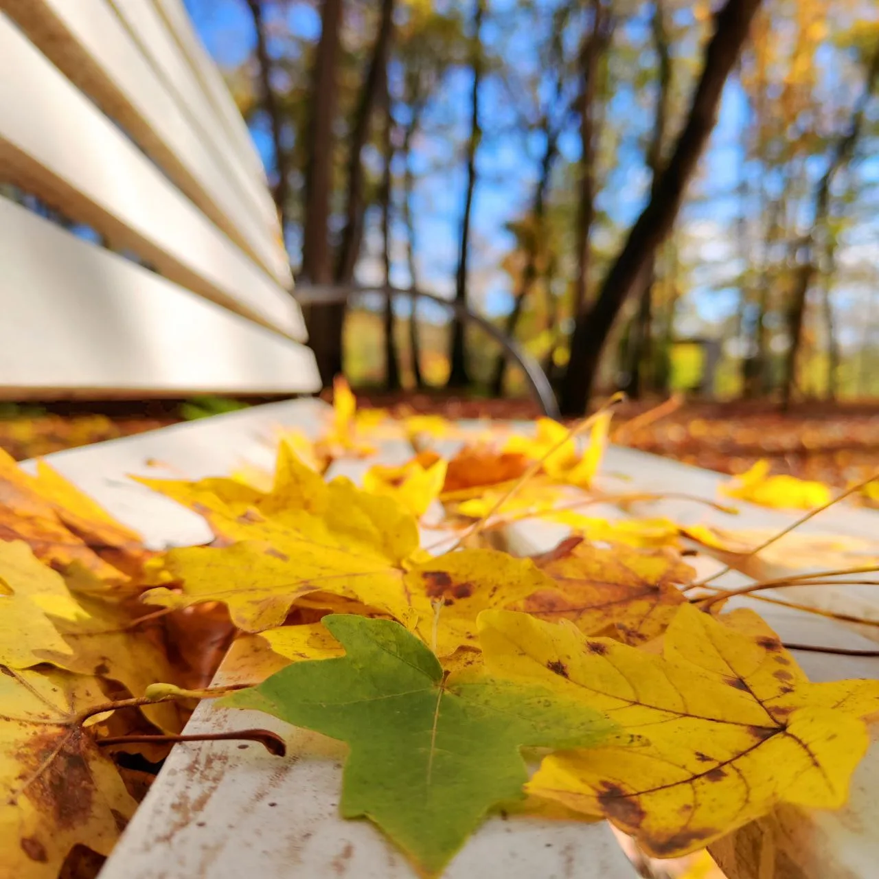 Конец года - время подводить итоги и готовить почву для нового 🍂