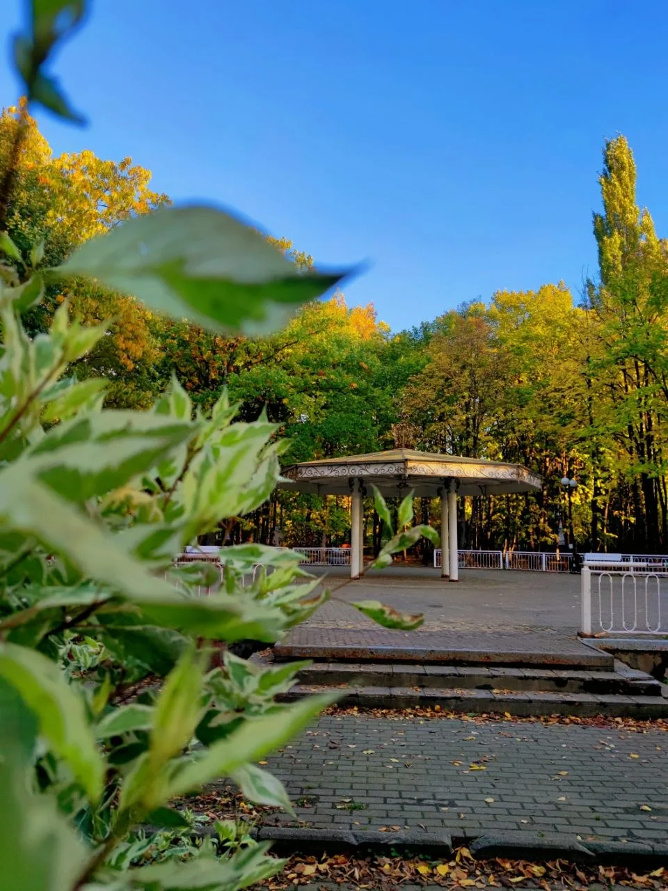 Наша прекрасная городская осень 🍁🍂🍃