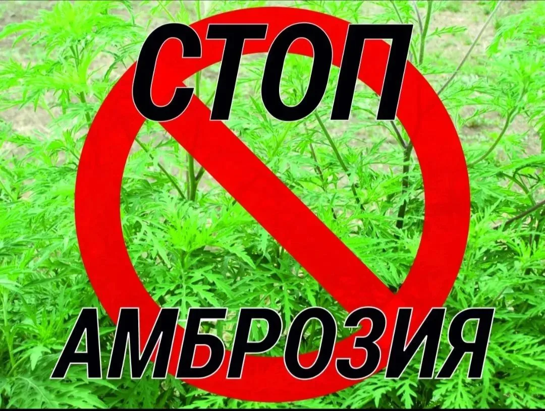 Вниманию жителей, землевладельцев и арендаторов Приморского муниципального округа!