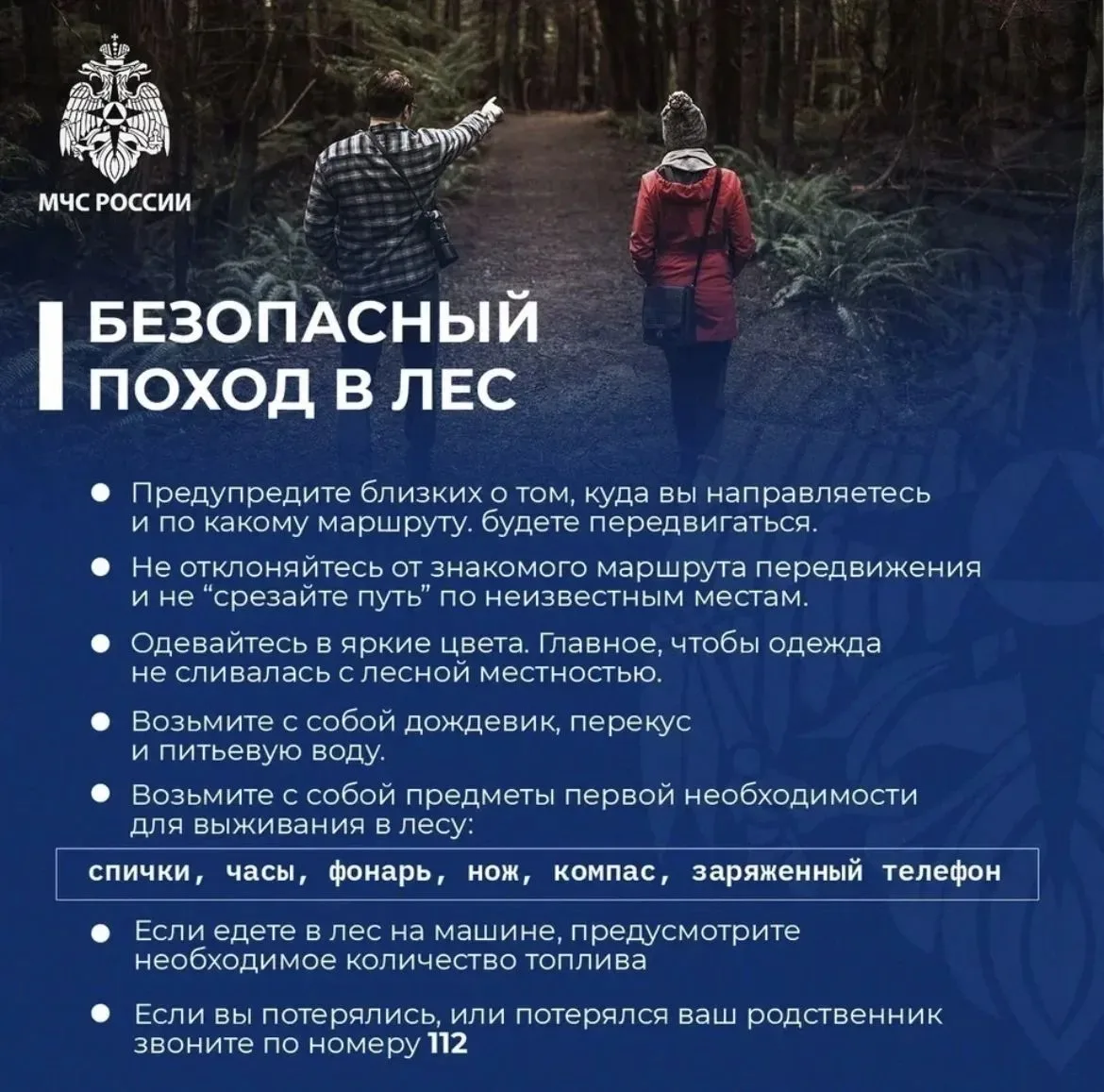 Безопасный поход в лес: как подготовиться и что взять с собой

🌳Лес — это место отдыха, сбора грибо
