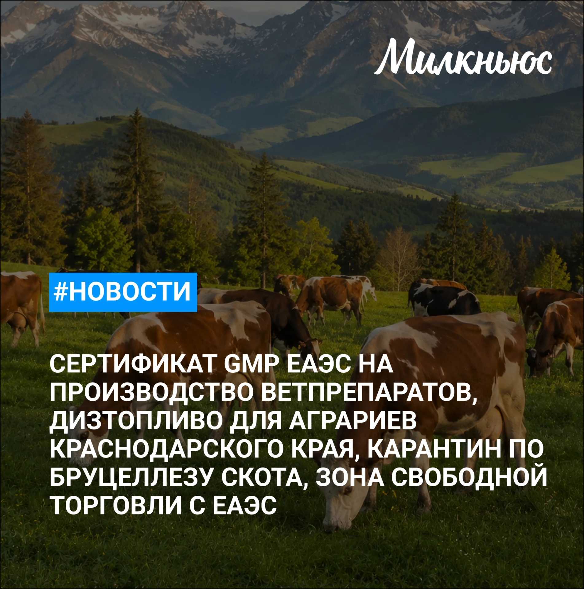 🐮 Дизтопливо для аграриев Краснодарского края подорожало почти на 30% с начала года
