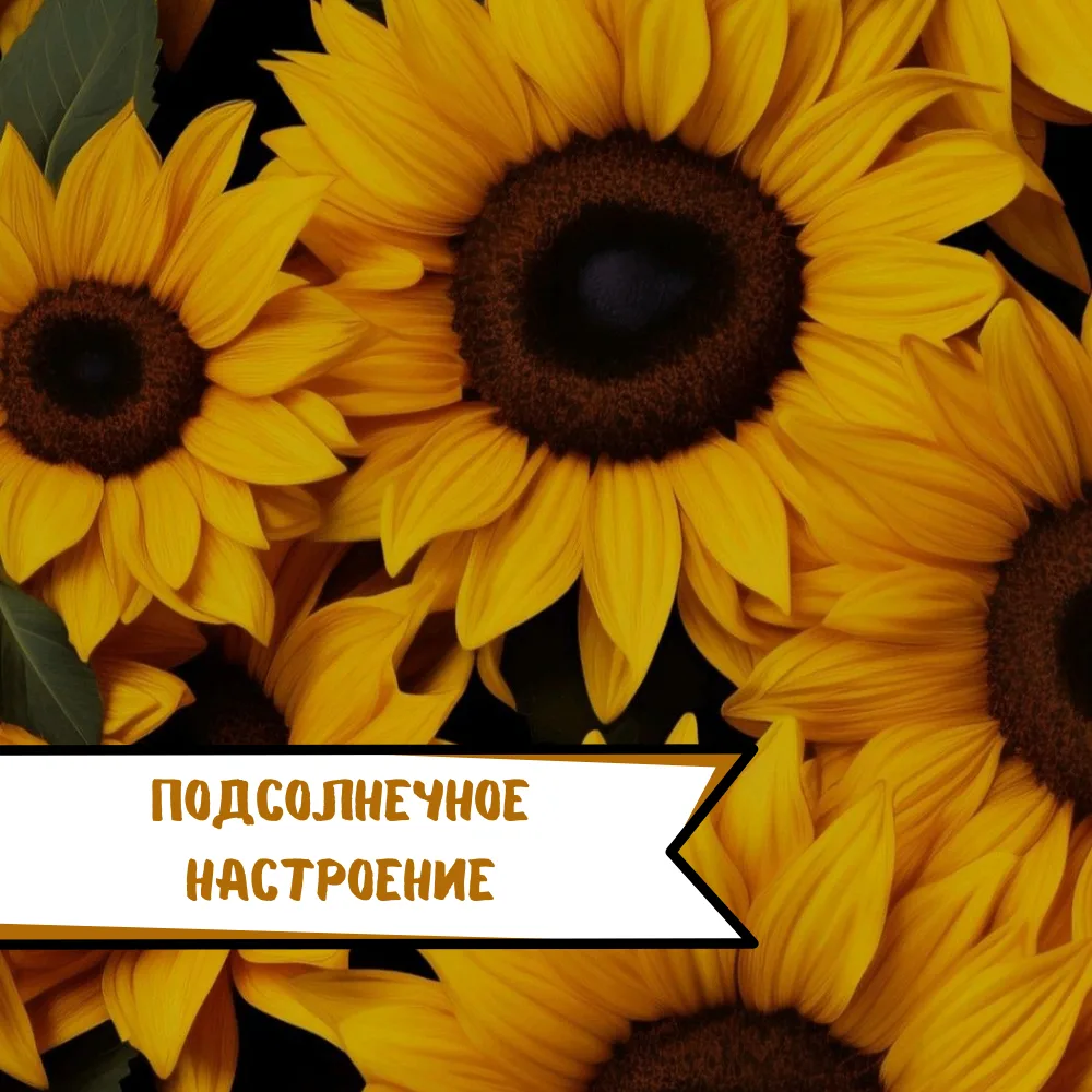 Настроение дня: искать солнце даже в пасмурный день. 🌻

💛 Подсолнух всегда поворачивается к свету.