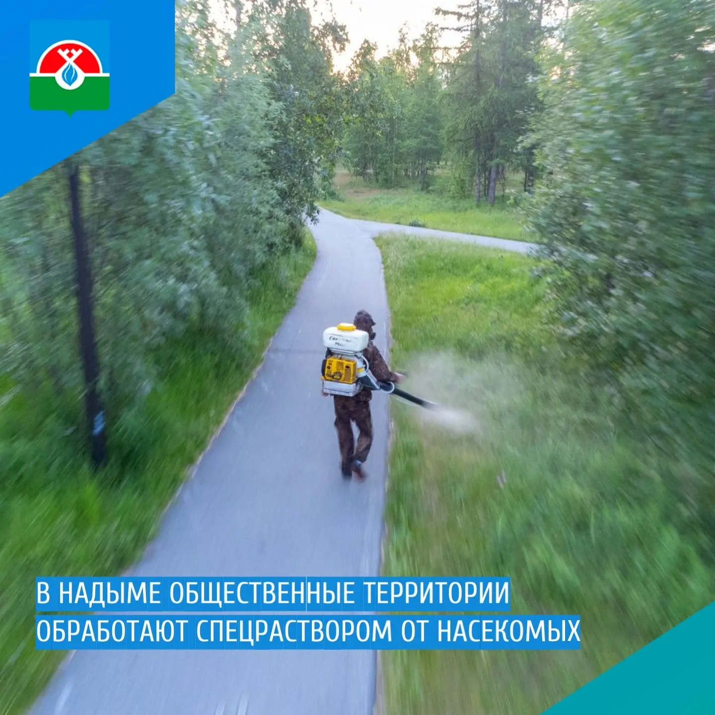 📍 В Надыме общественные территории обработают спецраствором от насекомых