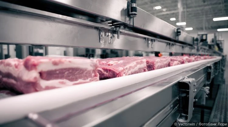 Без интернета и без мяса: продукты просят отсрочку от электронных накладных

⚠️ 11 отраслевых союзов