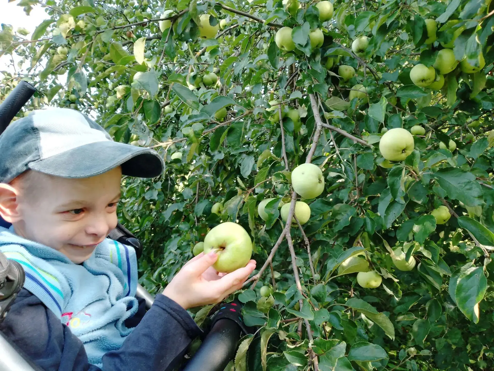 Яблочные дары лета🍎