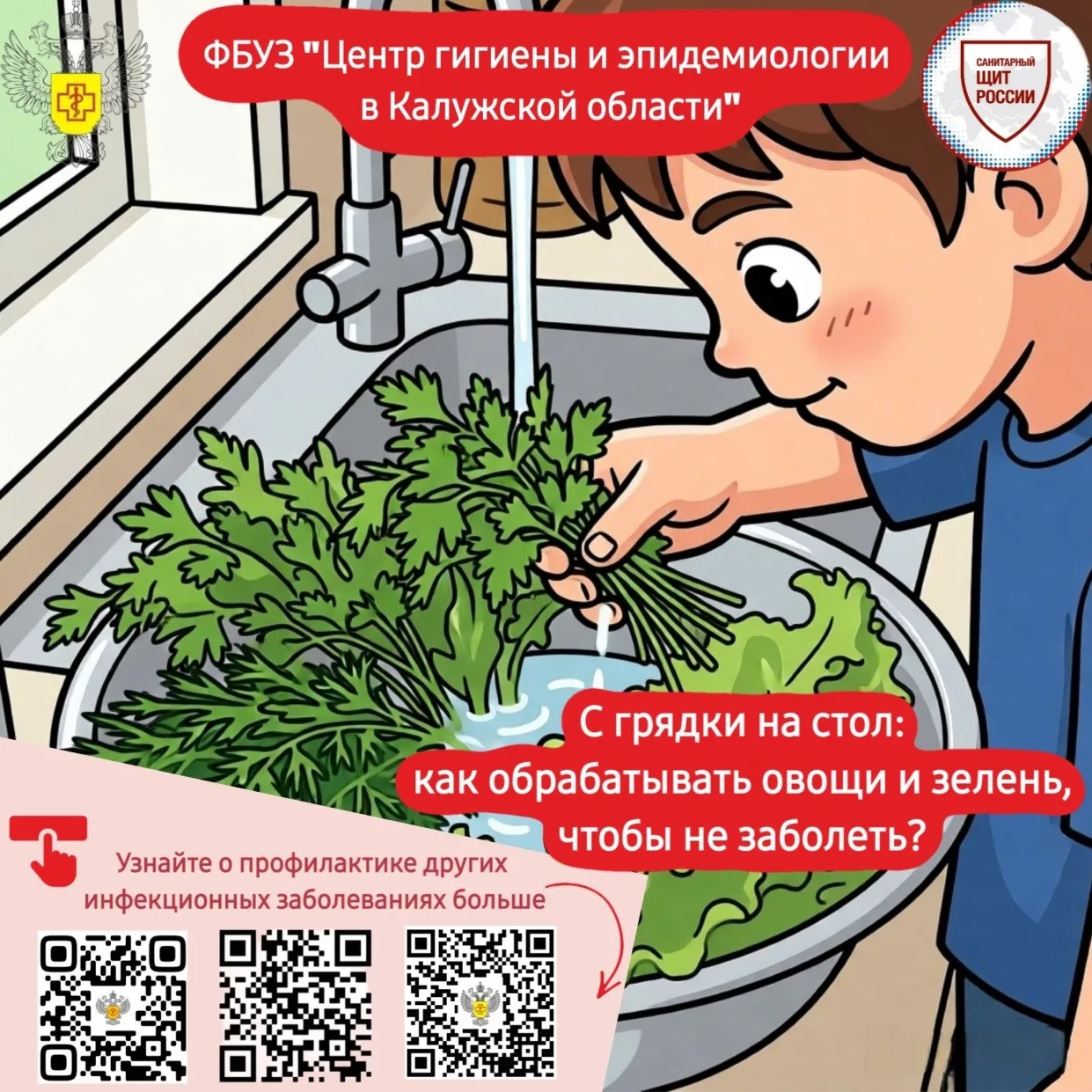 🍅 С грядки на стол: как обрабатывать овощи и зелень, чтобы не заболеть? 🍅
Лето — пора свежих овоще
