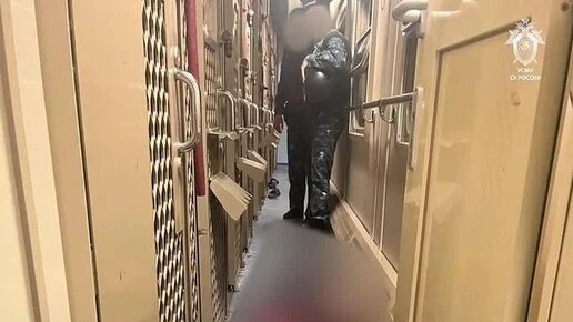 Заключённый убил конвоира в поезде «Владикавказ — Адлер»: видео с места ЧП