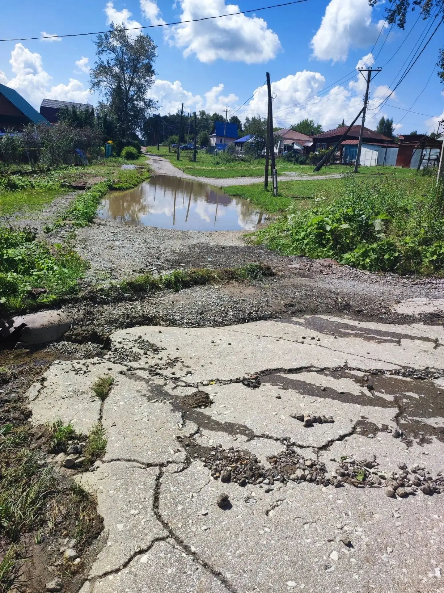 Это свежие фото нашего болота! Проехать невозможно и пройти также.