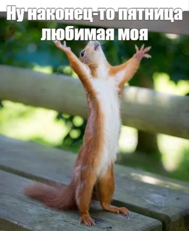 Я хоть и не работаю, но пятницу люблю ❤😘
