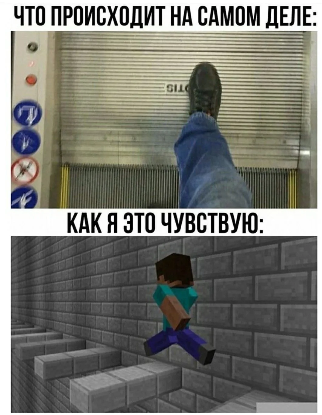 🤣