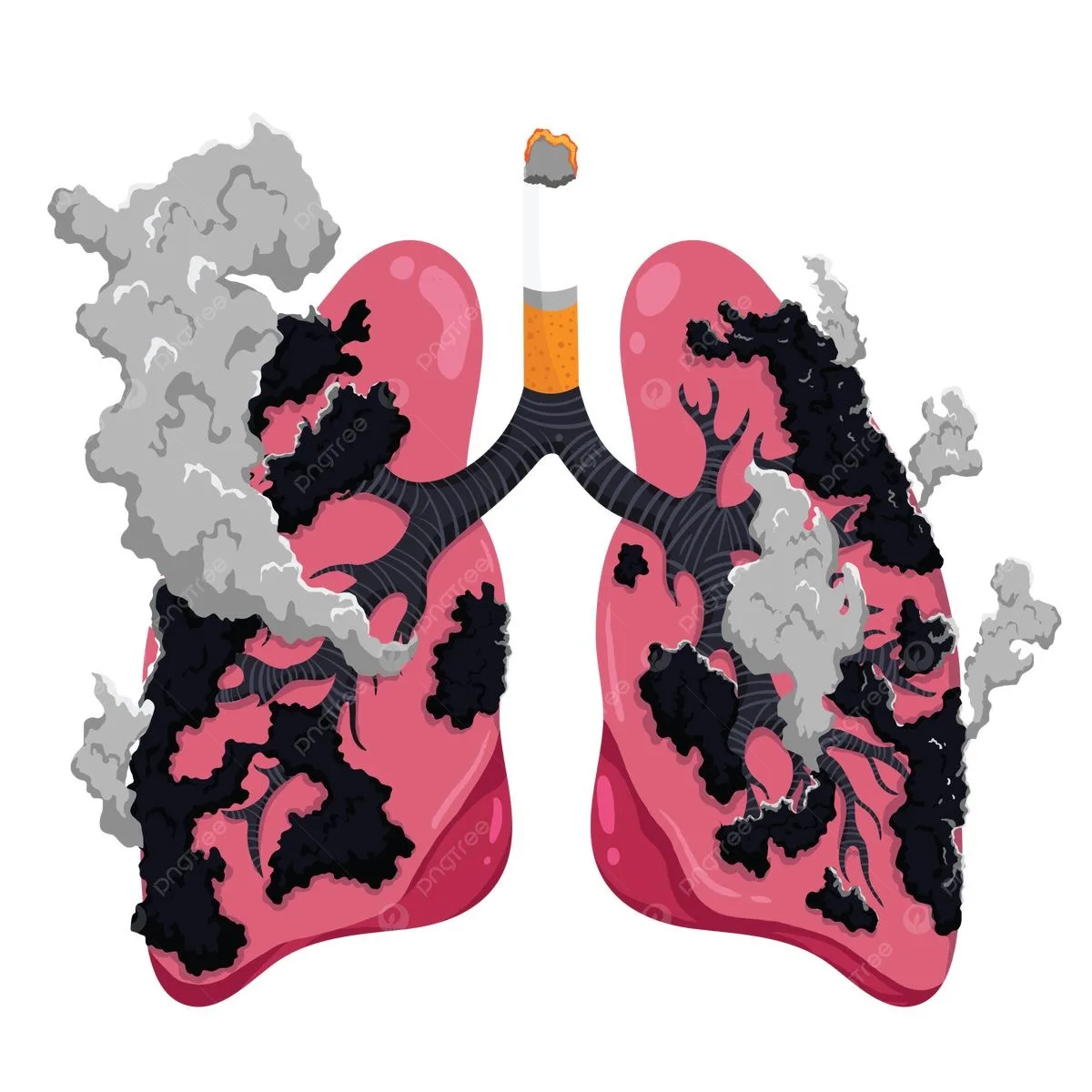 🚭 В борьбе с онкологическими заболеваниями есть один научно доказанный факт: курение является главн