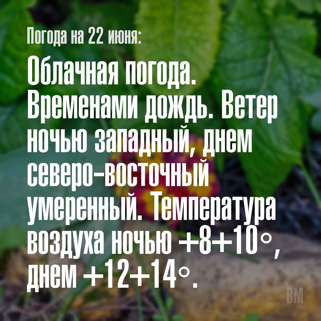 ⛅️ Погода в Мурманске на 22 июня

Облачная погода. Временами дождь. Ветер ночью западный, днем север