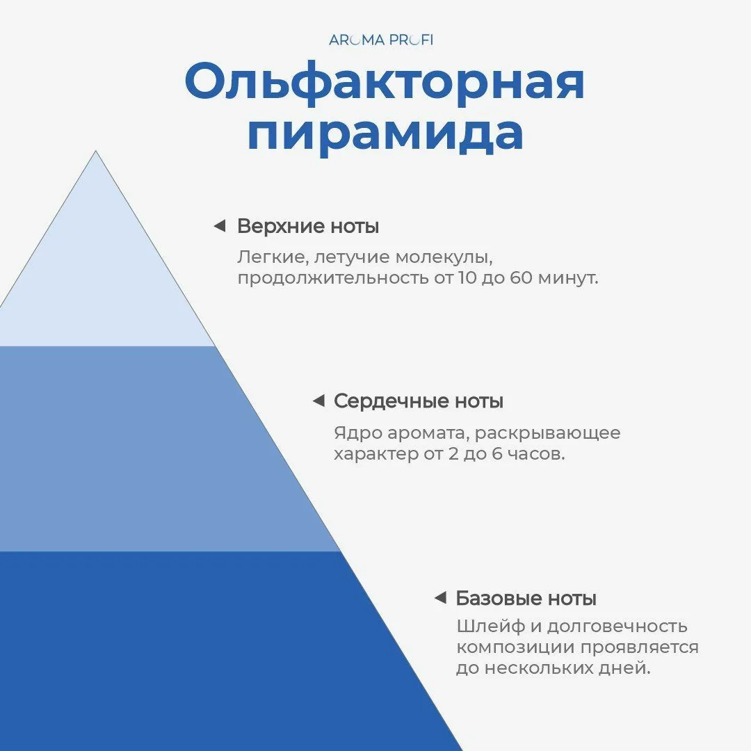 Ноты в аромате: почему композиция звучит иначе, чем вы ожидали
