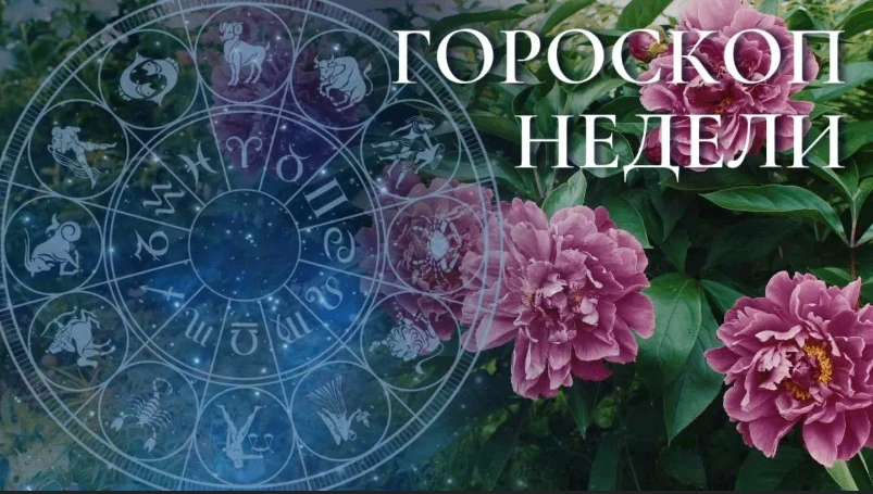 что вы закладывали ранее, начинает приносить плоды. Возможны новости издалека, продвиже...