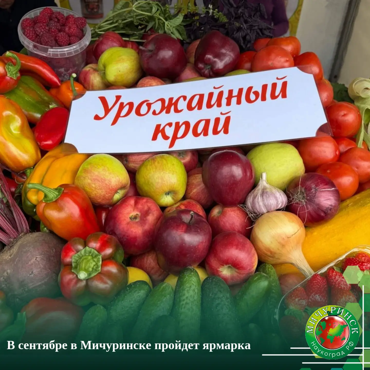 В сентябре в Мичуринске пройдет ярмарка