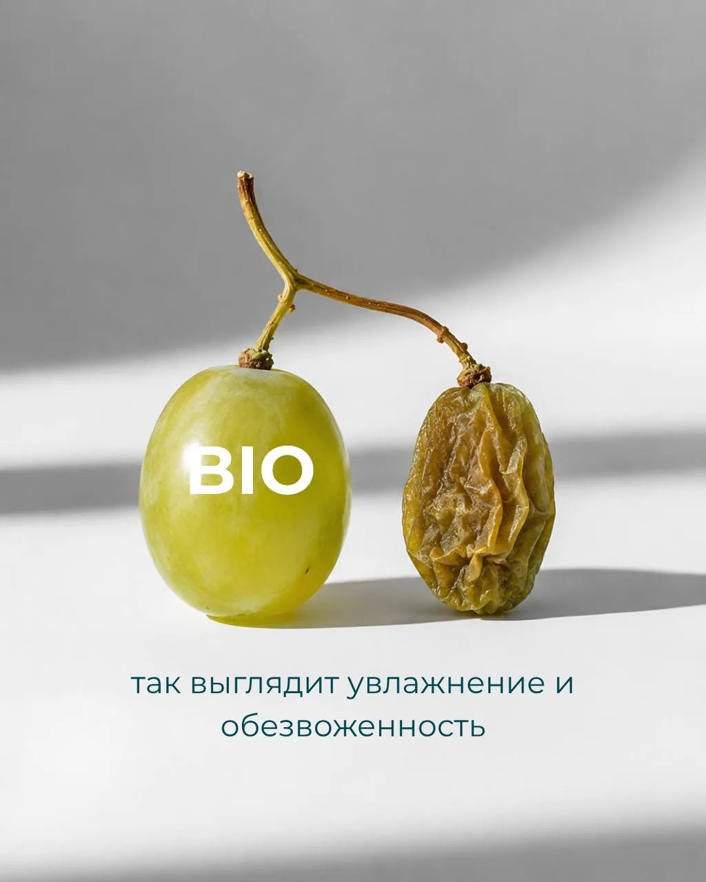Свежая и увлажнённая кожа уже после 1 курса процедур