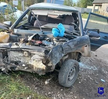 Пять человек пострадали в ДТП в Чапаевске