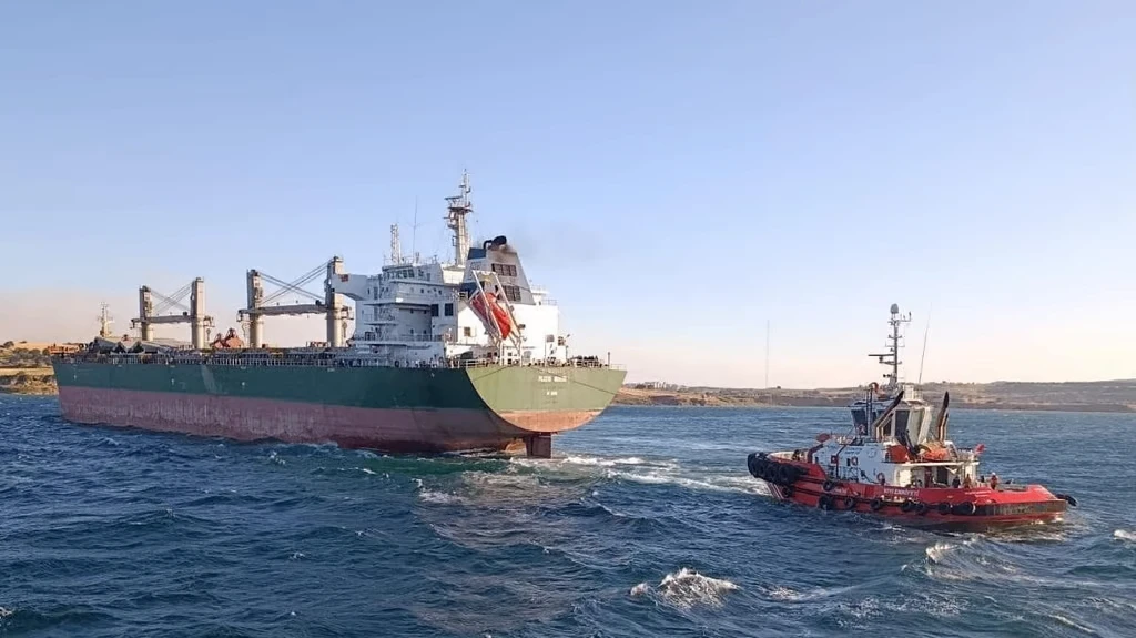 Движение в Дарданелле приостанавливали из‑за посадки на мель балкера Pilatus Marie

Турецкие власти 
