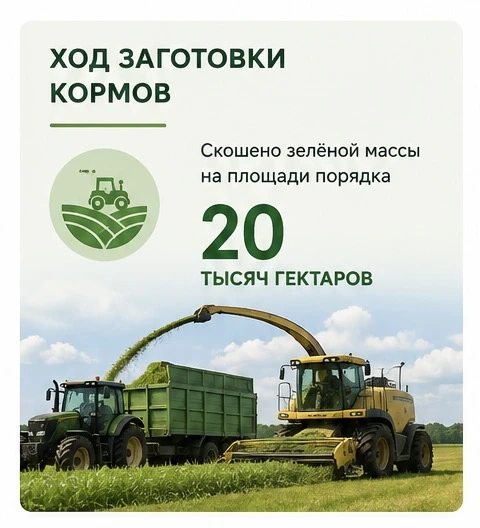 👨🏻‍🌾🌾 Более 70% запланированных кормов заготовили островные животноводы!