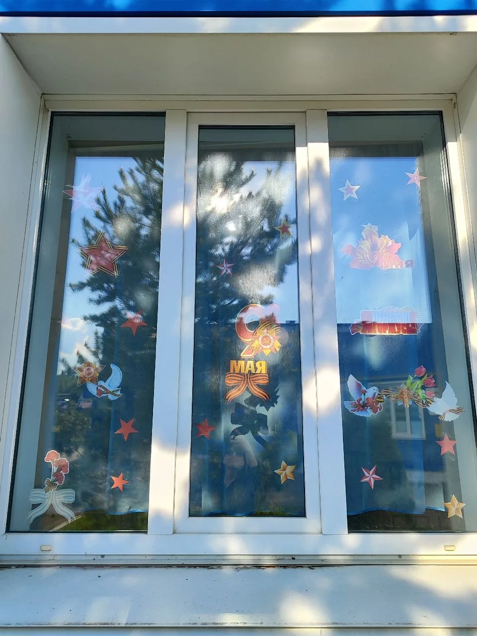 Патриотические  акции 🇷🇺