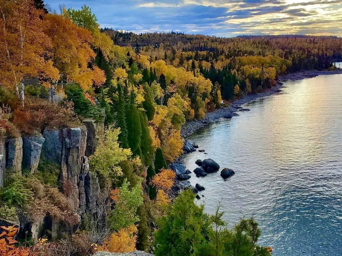 🌺 С добрым утром