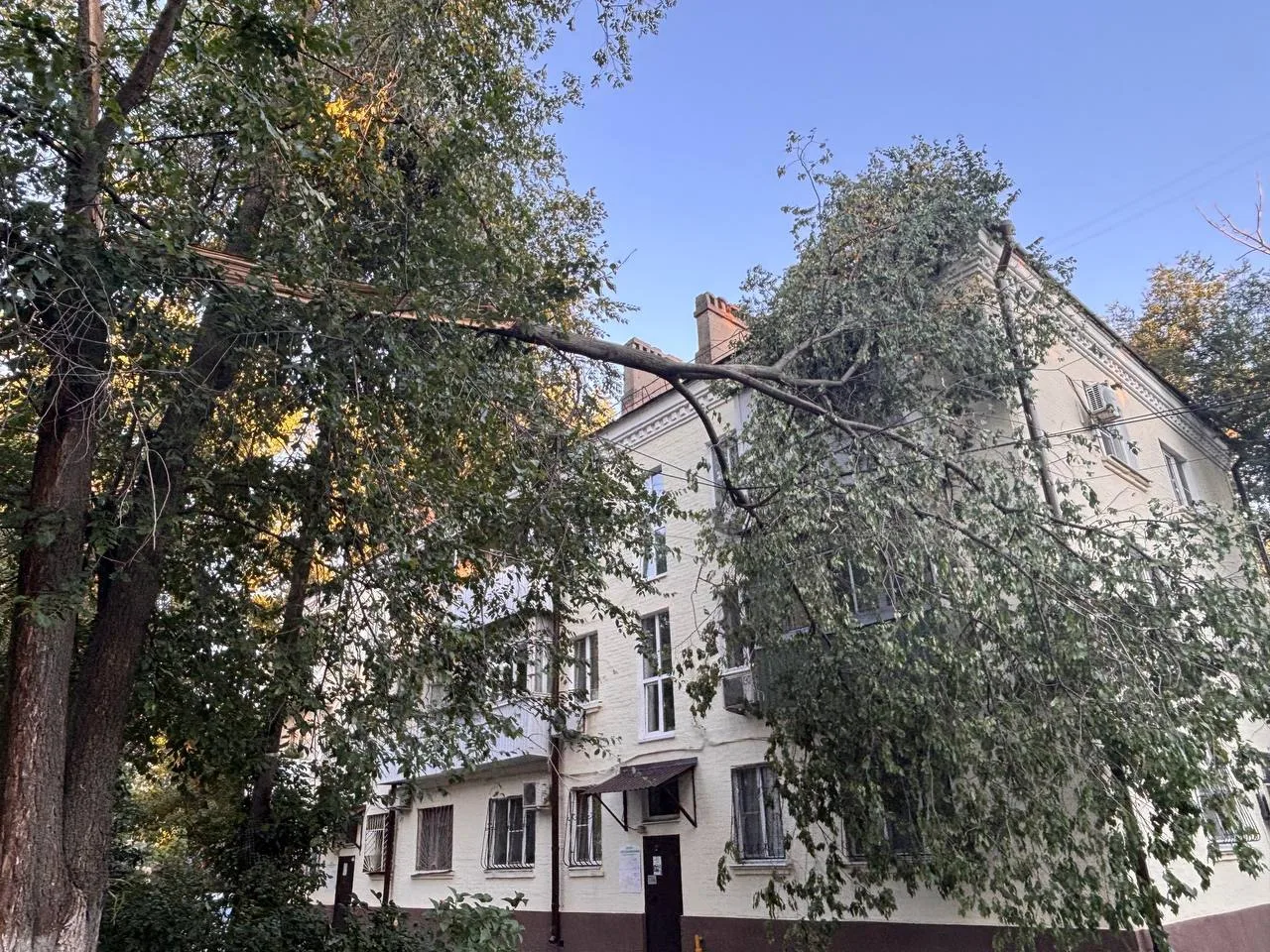 Город приходит в себя после урагана 

Корни деревьев выкорчевали асфальт 

Новости Ростова-на-Дону |