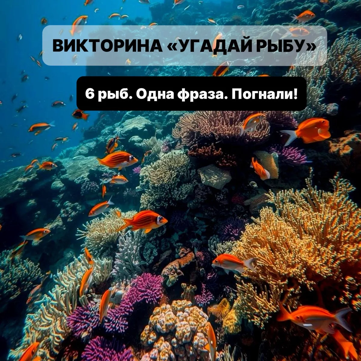 🐠 ВИКТОРИНА «УГАДАЙ РЫБУ»