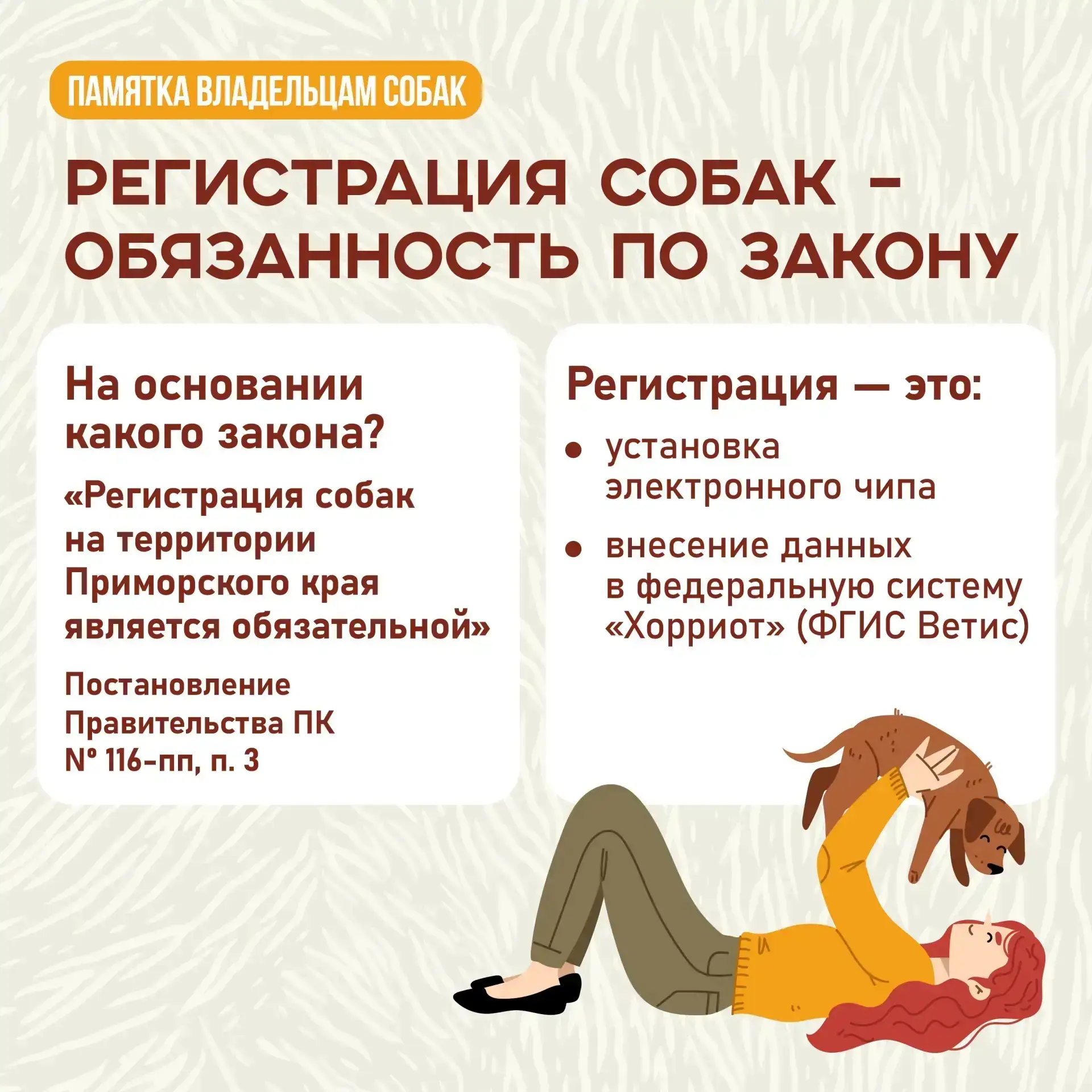А у вас дома живет собака? Тогда вам нужно ее зарегистрировать!  ‼️Процедура обязательна вне зависим