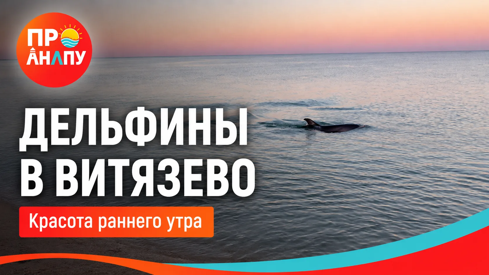 🐬 Дельфины устроили утреннее шоу в Витязево