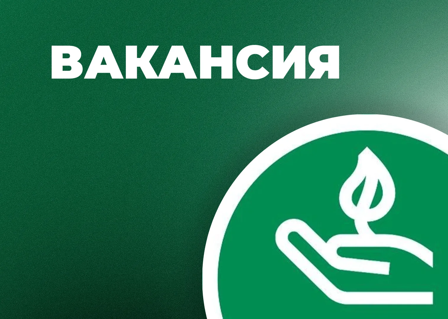 Департаменту природных ресурсов и экологии Чукотского АО требуется специалист на должно...